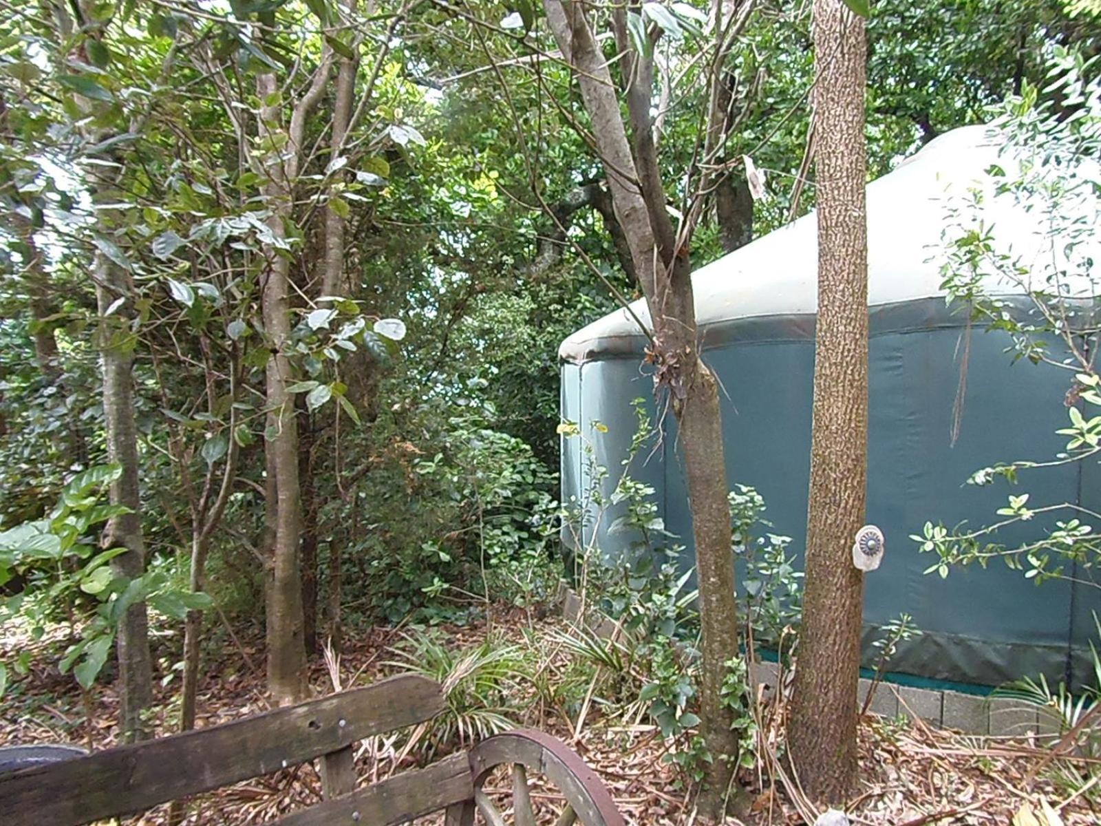 Nikau Sanctuary 호텔 라글란 외부 사진
