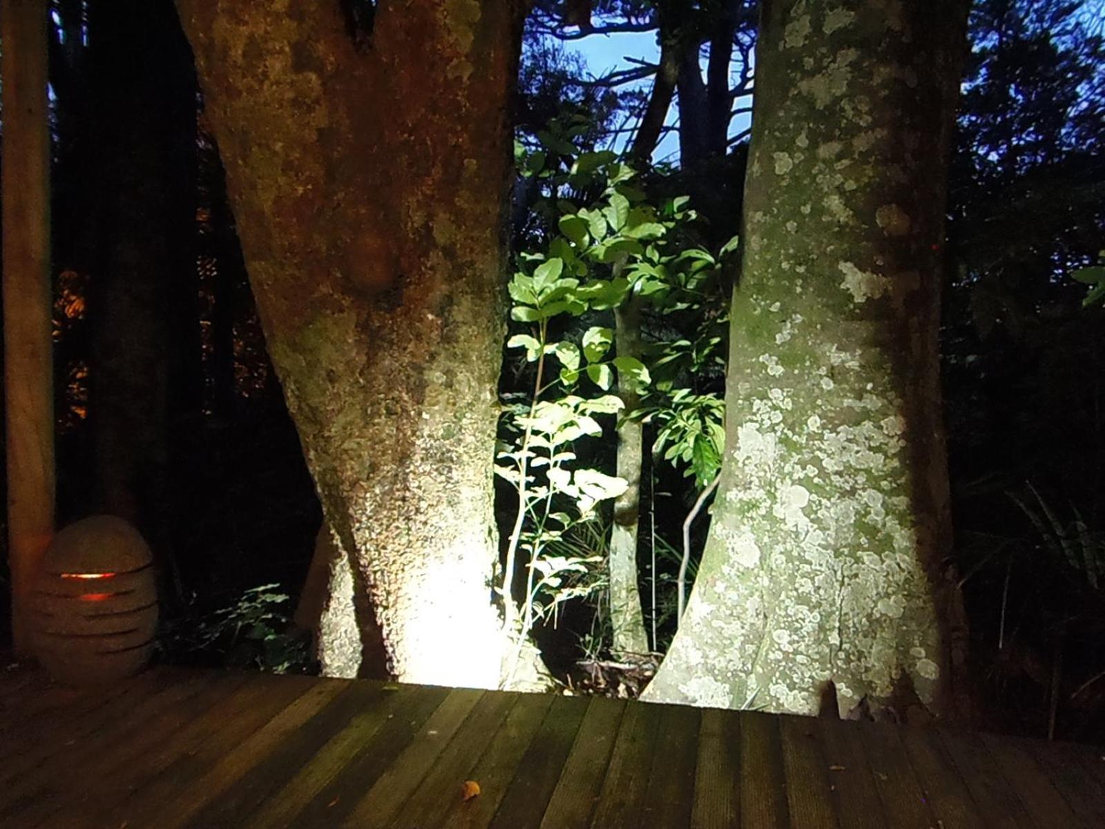 Nikau Sanctuary 호텔 라글란 외부 사진